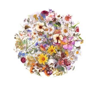 NEW 240 Botanical Flower Stickers Transparent Natural Floral
